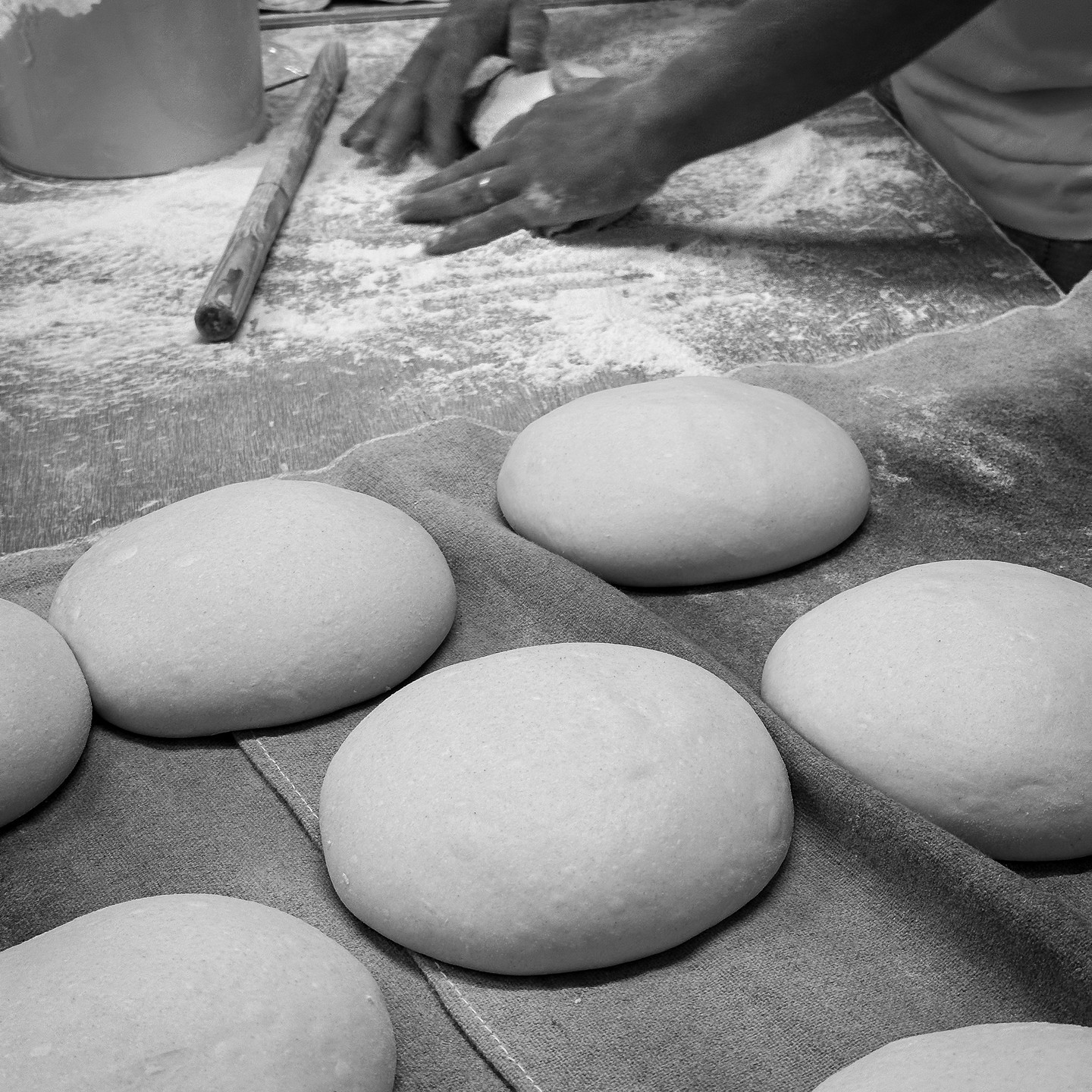 416007078_259692913601268_2924417536301734347_n