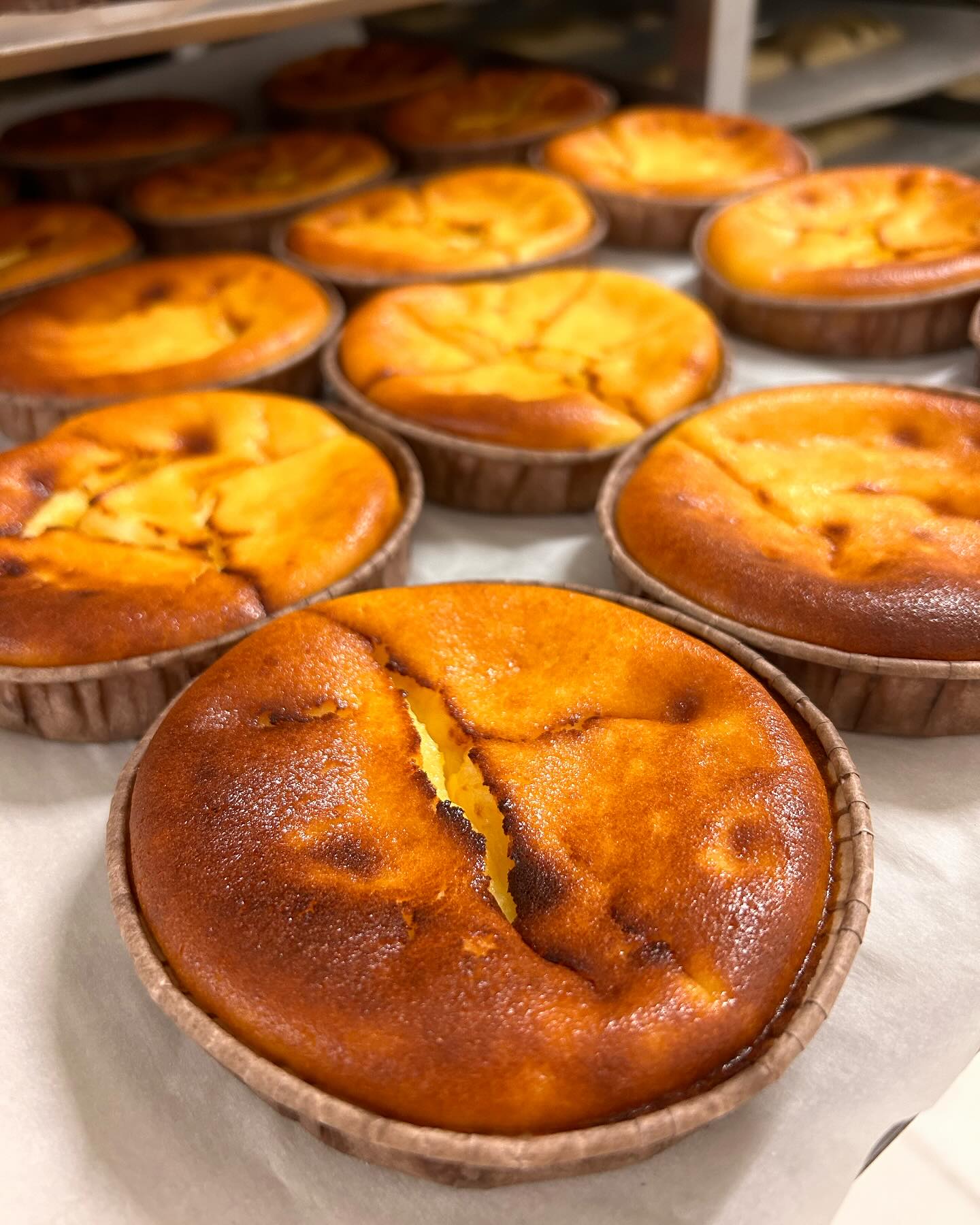 467151730_18062372185825174_473336454495711828_n